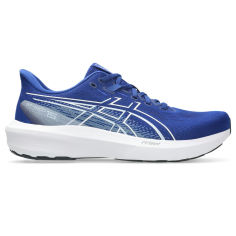  Мъжки маратонки за бягане ASICS GT-1000 15