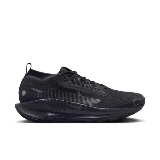 Мъжки маратонки за планинско бягане NIKE Pegasus Trail 5 Gore-Tex