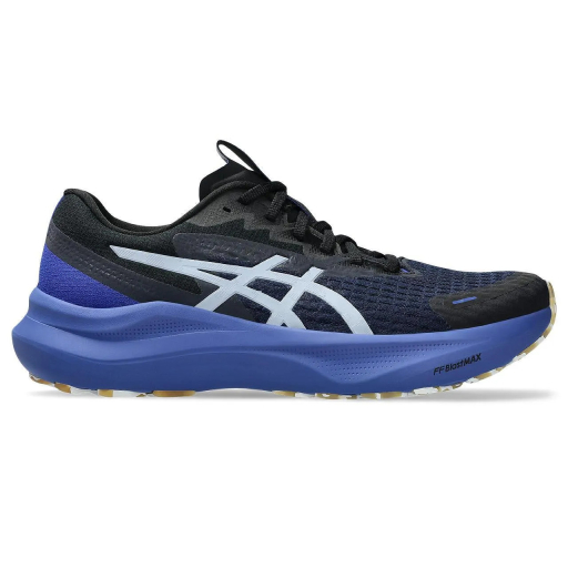 Мъжки маратонки за бягане ASICS GT-2000 14 LITE-SHOW